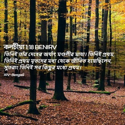 Picture 02 - কলচীয়া 1:18 BENIRV - তিনিই তাঁর দেহের - Bible Verse Picture