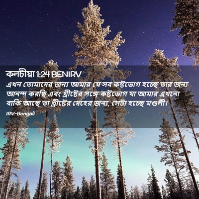 Picture 02 - কলচীয়া 1:24 BENIRV - এখন তোমাদের জন্য - Bible Verse Picture