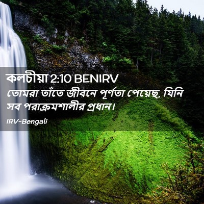 Picture 02 - কলচীয়া 2:10 BENIRV - তোমরা তাঁতে জীবনে - Bible Verse Picture