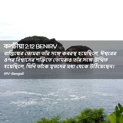 Picture 02 - কলচীয়া 2:12 BENIRV - বাপ্তিষ্মের তোমরা - Bible Verse Picture