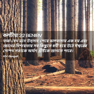 Picture 02 - কলচীয়া 2:2 BENIRV - তারা যেন মনে - Bible Verse Picture