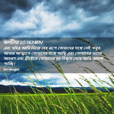 Picture 02 - কলচীয়া 2:5 BENIRV - এবং যদিও আমি নিজে - Bible Verse Picture