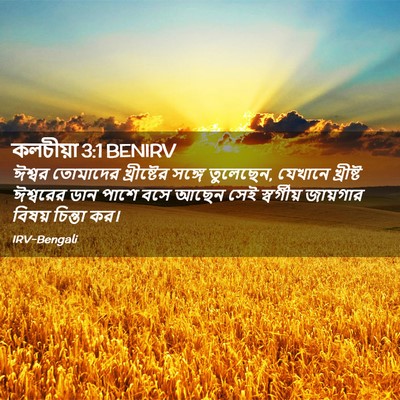 Picture 02 - কলচীয়া 3:1 BENIRV - ঈশ্বর তোমাদের - Bible Verse Picture
