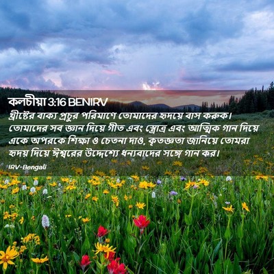 Picture 02 - কলচীয়া 3:16 BENIRV - খ্রীষ্টের বাক্য - Bible Verse Picture