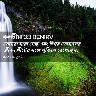 Picture 02 - কলচীয়া 3:3 BENIRV - তোমরা মারা গেছ এবং - Bible Verse Picture