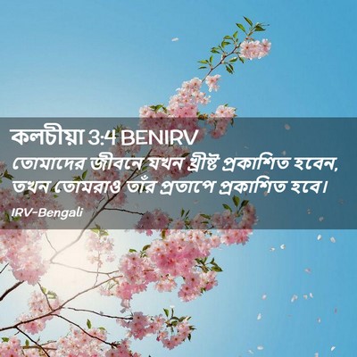 Picture 02 - কলচীয়া 3:4 BENIRV - তোমাদের জীবনে যখন - Bible Verse Picture