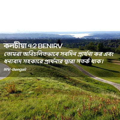Picture 02 - কলচীয়া 4:2 BENIRV - তোমরা অবিচলিতভাবে - Bible Verse Picture