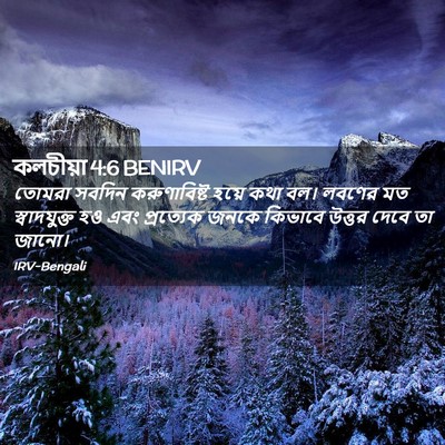 Picture 02 - কলচীয়া 4:6 BENIRV - তোমরা সবদিন - Bible Verse Picture