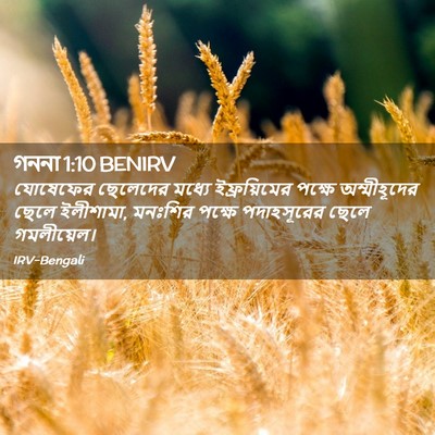 Picture 02 - গননা 1:10 BENIRV - যোষেফের ছেলেদের - Bible Verse Picture