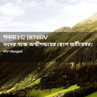 Picture 02 - গননা 1:12 BENIRV - দানের পক্ষে - Bible Verse Picture