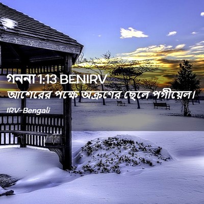 Picture 02 - গননা 1:13 BENIRV - আশেরের পক্ষে - Bible Verse Picture