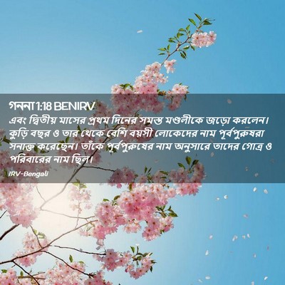 Picture 02 - গননা 1:18 BENIRV - এবং দ্বিতীয় - Bible Verse Picture