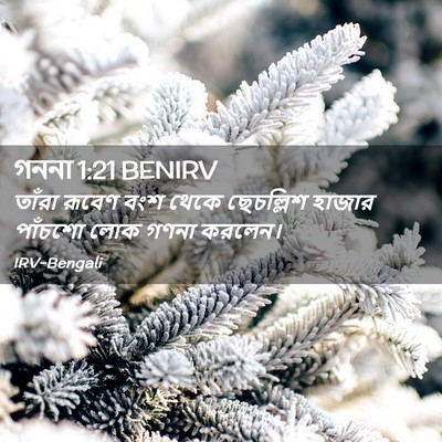 Picture 02 - গননা 1:21 BENIRV - তাঁরা রূবেণ বংশ - Bible Verse Picture
