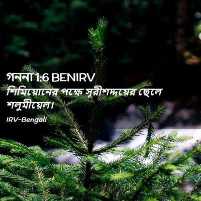 Picture 02 - গননা 1:6 BENIRV - শিমিয়োনের পক্ষে - Bible Verse Picture