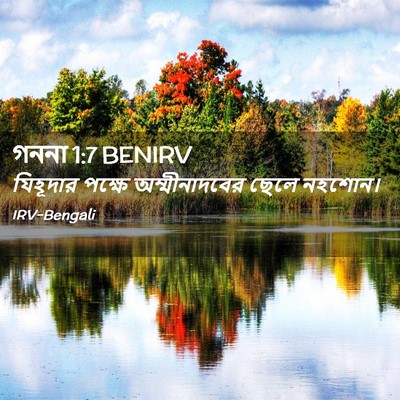 Picture 02 - গননা 1:7 BENIRV - যিহূদার পক্ষে - Bible Verse Picture