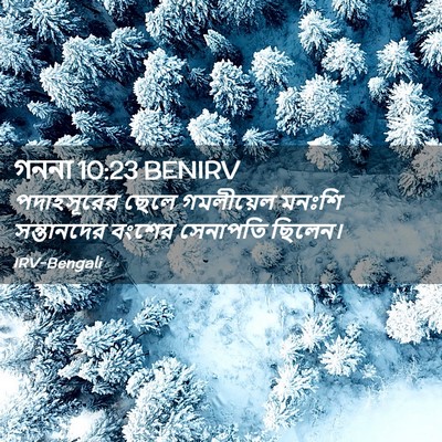 Picture 02 - গননা 10:23 BENIRV - পদাহসূরের ছেলে - Bible Verse Picture