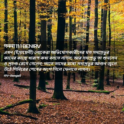 Picture 02 - গননা 11:1 BENIRV - এখন (ইস্রায়েলী) - Bible Verse Picture