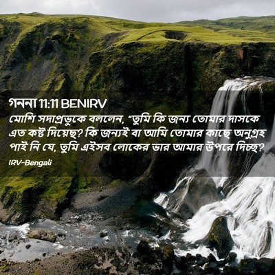 Picture 02 - গননা 11:11 BENIRV - মোশি সদাপ্রভুকে - Bible Verse Picture