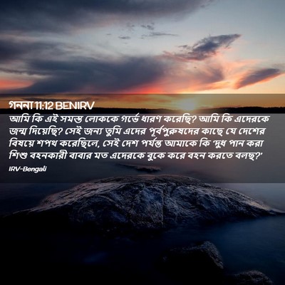 Picture 02 - গননা 11:12 BENIRV - আমি কি এই সমস্ত - Bible Verse Picture