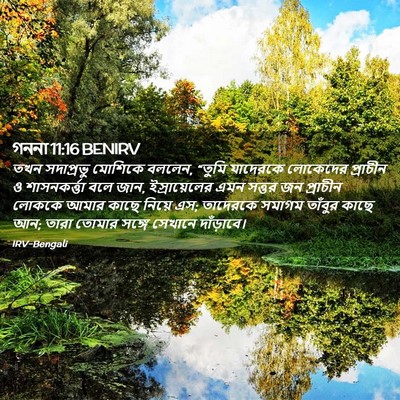 Picture 02 - গননা 11:16 BENIRV - তখন সদাপ্রভু - Bible Verse Picture