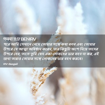 Picture 02 - গননা 11:17 BENIRV - পরে আমি সেখানে - Bible Verse Picture