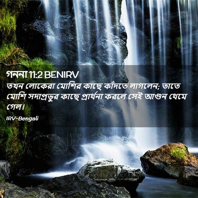 Picture 02 - গননা 11:2 BENIRV - তখন লোকেরা মোশির - Bible Verse Picture