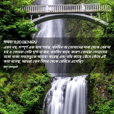 Picture 02 - গননা 11:20 BENIRV - এমন নয়; সম্পূর্ণ - Bible Verse Picture
