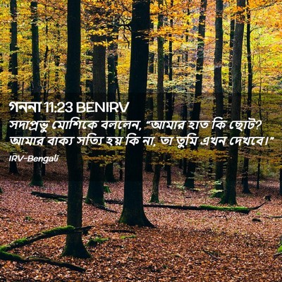 Picture 02 - গননা 11:23 BENIRV - সদাপ্রভু মোশিকে - Bible Verse Picture