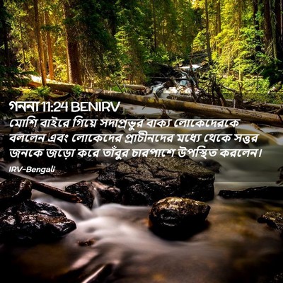 Picture 02 - গননা 11:24 BENIRV - মোশি বাইরে গিয়ে - Bible Verse Picture