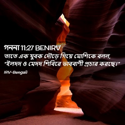 Picture 02 - গননা 11:27 BENIRV - তাতে এক যুবক দৌড়ে - Bible Verse Picture