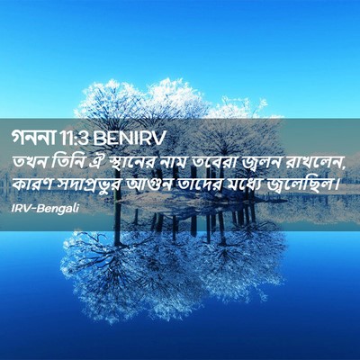 Picture 02 - গননা 11:3 BENIRV - তখন তিনি ঐ স্থানের - Bible Verse Picture