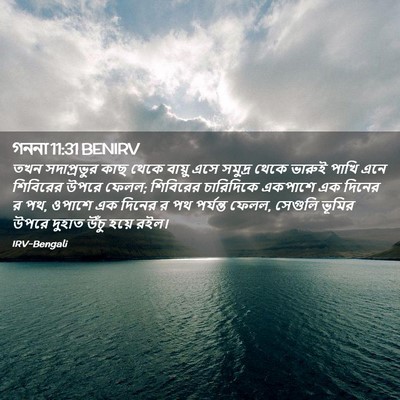 Picture 02 - গননা 11:31 BENIRV - তখন সদাপ্রভুর কাছ - Bible Verse Picture