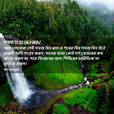 Picture 02 - গননা 11:32 BENIRV - আর লোকেরা সেই - Bible Verse Picture
