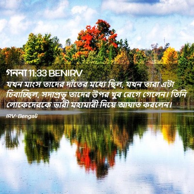 Picture 02 - গননা 11:33 BENIRV - যখন মাংস তাদের - Bible Verse Picture