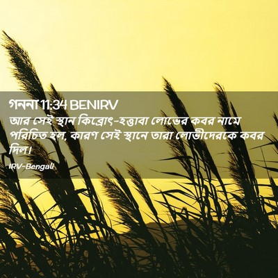 Picture 02 - গননা 11:34 BENIRV - আর সেই স্থান - Bible Verse Picture