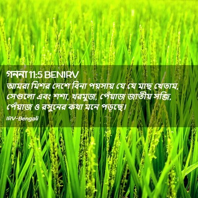 Picture 02 - গননা 11:5 BENIRV - আমরা মিশর দেশে - Bible Verse Picture