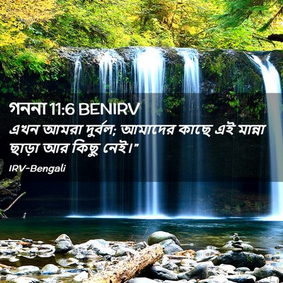 Picture 02 - গননা 11:6 BENIRV - এখন আমরা দুর্বল; - Bible Verse Picture