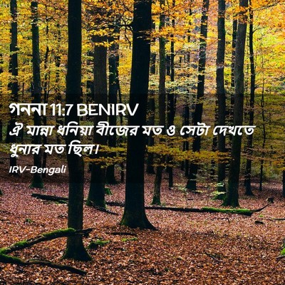 Picture 02 - গননা 11:7 BENIRV - ঐ মান্না ধনিয়া - Bible Verse Picture
