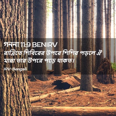 Picture 02 - গননা 11:9 BENIRV - রাত্রিতে শিবিরের - Bible Verse Picture
