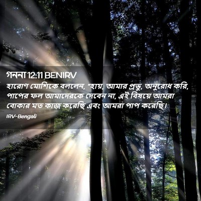 Picture 02 - গননা 12:11 BENIRV - হারোণ মোশিকে - Bible Verse Picture