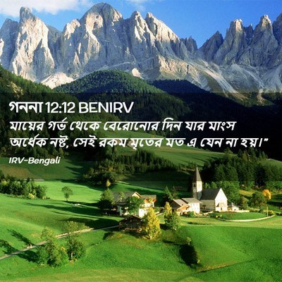 Picture 02 - গননা 12:12 BENIRV - মায়ের গর্ভ থেকে - Bible Verse Picture