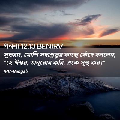 Picture 02 - গননা 12:13 BENIRV - সুতরাং, মোশি - Bible Verse Picture
