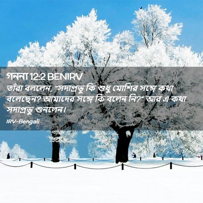 Picture 02 - গননা 12:2 BENIRV - তাঁরা বললেন, - Bible Verse Picture