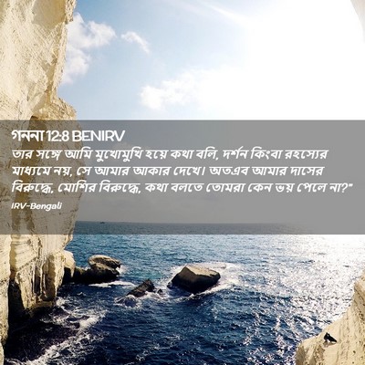 Picture 02 - গননা 12:8 BENIRV - তার সঙ্গে আমি - Bible Verse Picture
