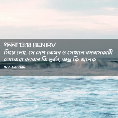 Picture 02 - গননা 13:18 BENIRV - গিয়ে দেখ, সে দেশ - Bible Verse Picture