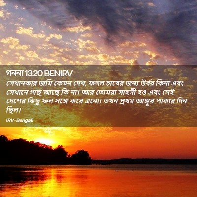 Picture 02 - গননা 13:20 BENIRV - সেখানকার জমি কেমন - Bible Verse Picture