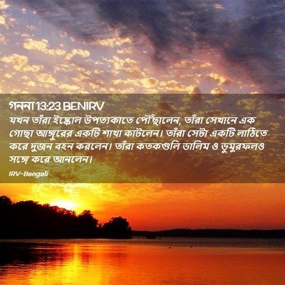 Picture 02 - গননা 13:23 BENIRV - যখন তাঁরা ইষ্কোল - Bible Verse Picture