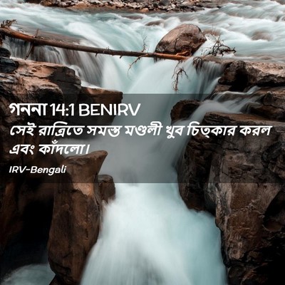 Picture 02 - গননা 14:1 BENIRV - সেই রাত্রিতে - Bible Verse Picture