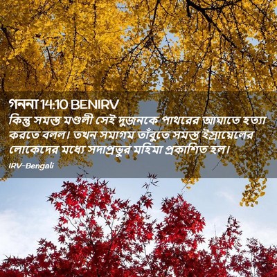 Picture 02 - গননা 14:10 BENIRV - কিন্তু সমস্ত - Bible Verse Picture