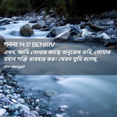 Picture 02 - গননা 14:17 BENIRV - এখন, আমি তোমার কাছে - Bible Verse Picture